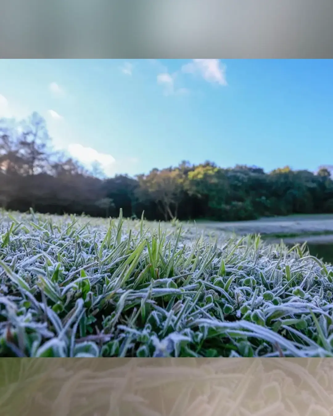 Alerta Geada 2025 inicia no Paraná com informações diárias e suporte a produtores rurais