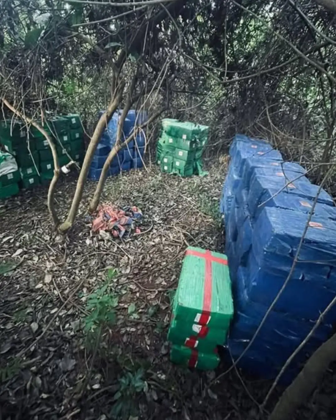BPFRON, CAOP E NEPOM-PF Apreendem 8,5 toneladas de maconha em Altônia-PR. Apreensão que causou mais de R$ 17 milhões em prejuízo ao crime