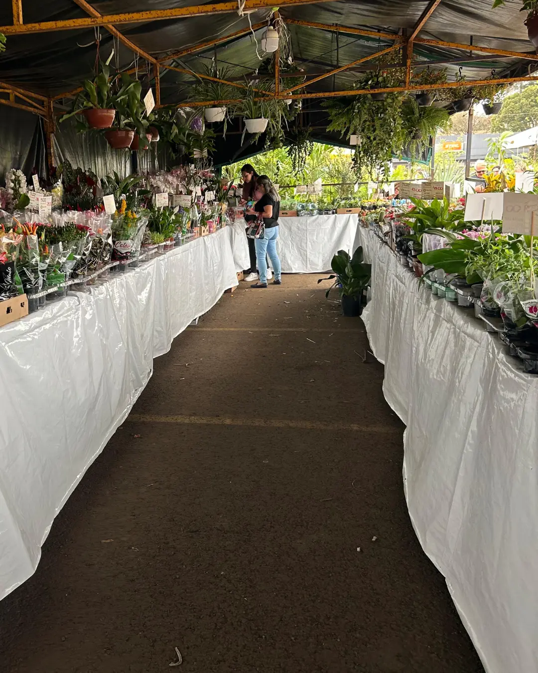 Expoflor em Palmas apresenta diversidade de produtos – todos estão convidados a participarem 
