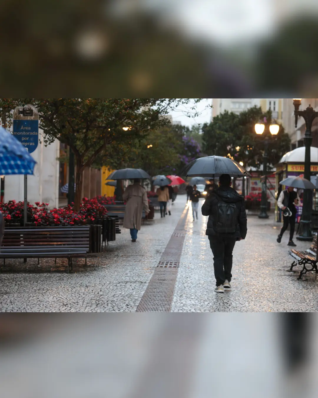 Fim de semana no Paraná terá temporais, trovoadas e ventos fortes, prevê Simepar