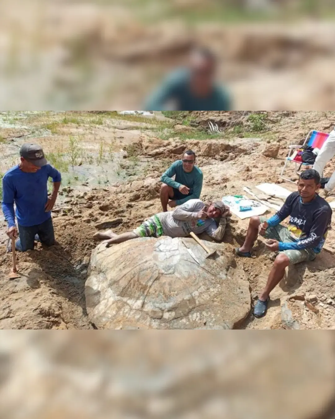 Fóssil de tartaruga gigante é descoberto no Acre e intriga cientistas sobre grandes populações aquáticas do passado
