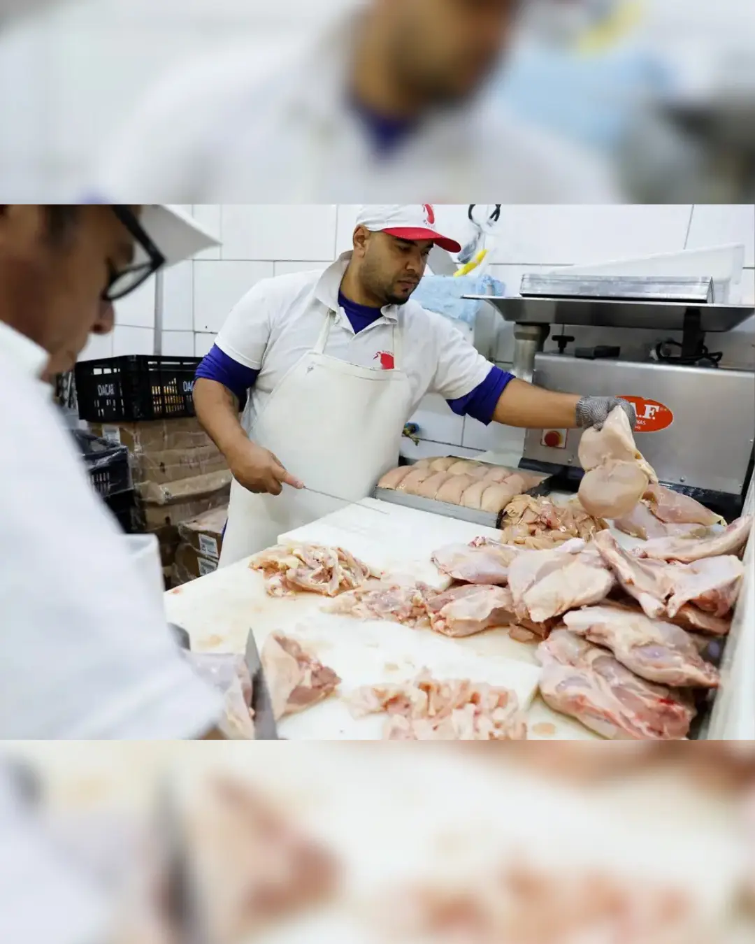 Gripe aviária: 16 países removem restrições à carne de aves do Brasil