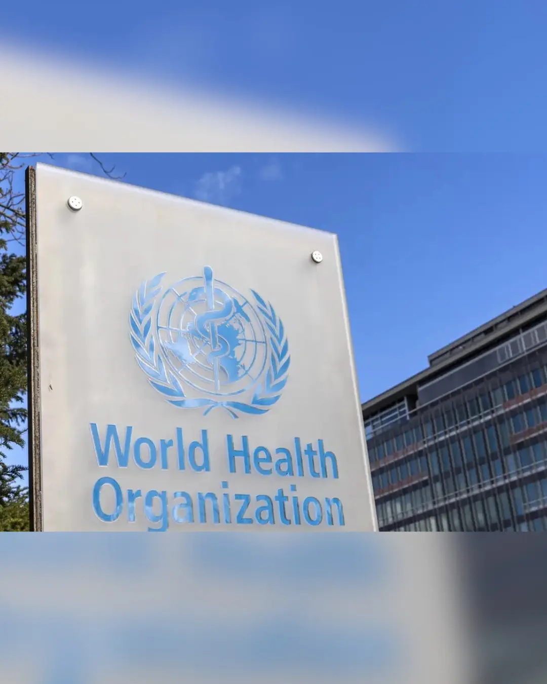 OMS aprova lenacapavir injetável semestral para prevenção de infecção por HIV