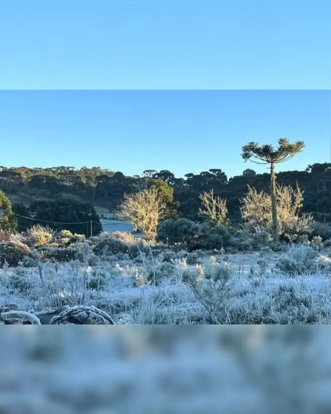 Onda de frio intenso congela lago em SC e traz sensação térmica de -29 °C na Serra Catarinense