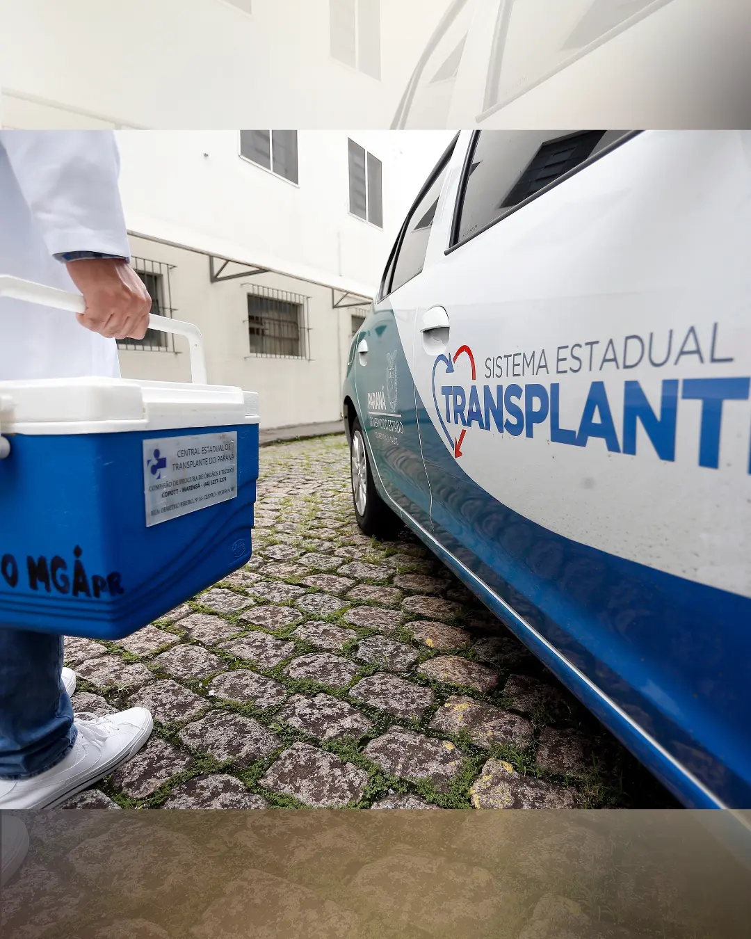 Paraná lidera doação de órgãos com menor taxa de recusa e números recordes em 2024