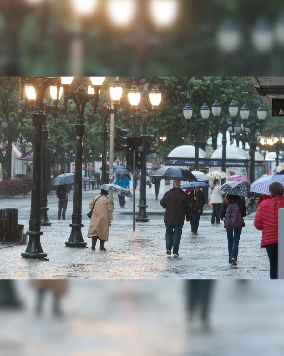 Paraná terá frio intenso e geadas após chuva; Simepar alerta para sensação térmica baixa