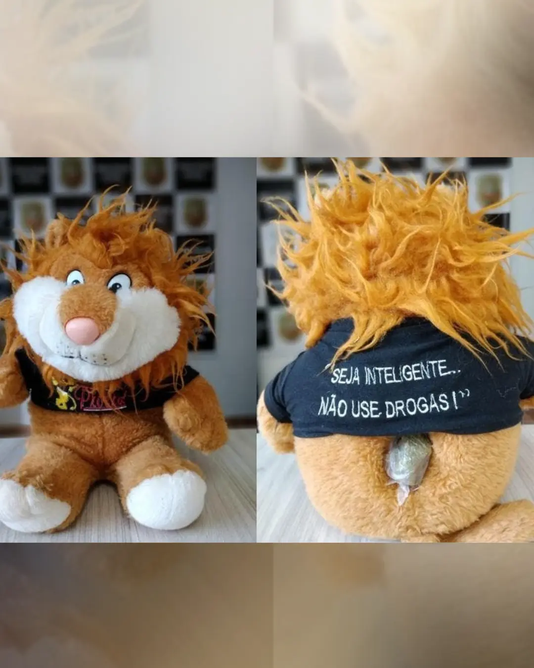 Polícia encontra maconha escondida em mascote do Proerd durante operação em SC