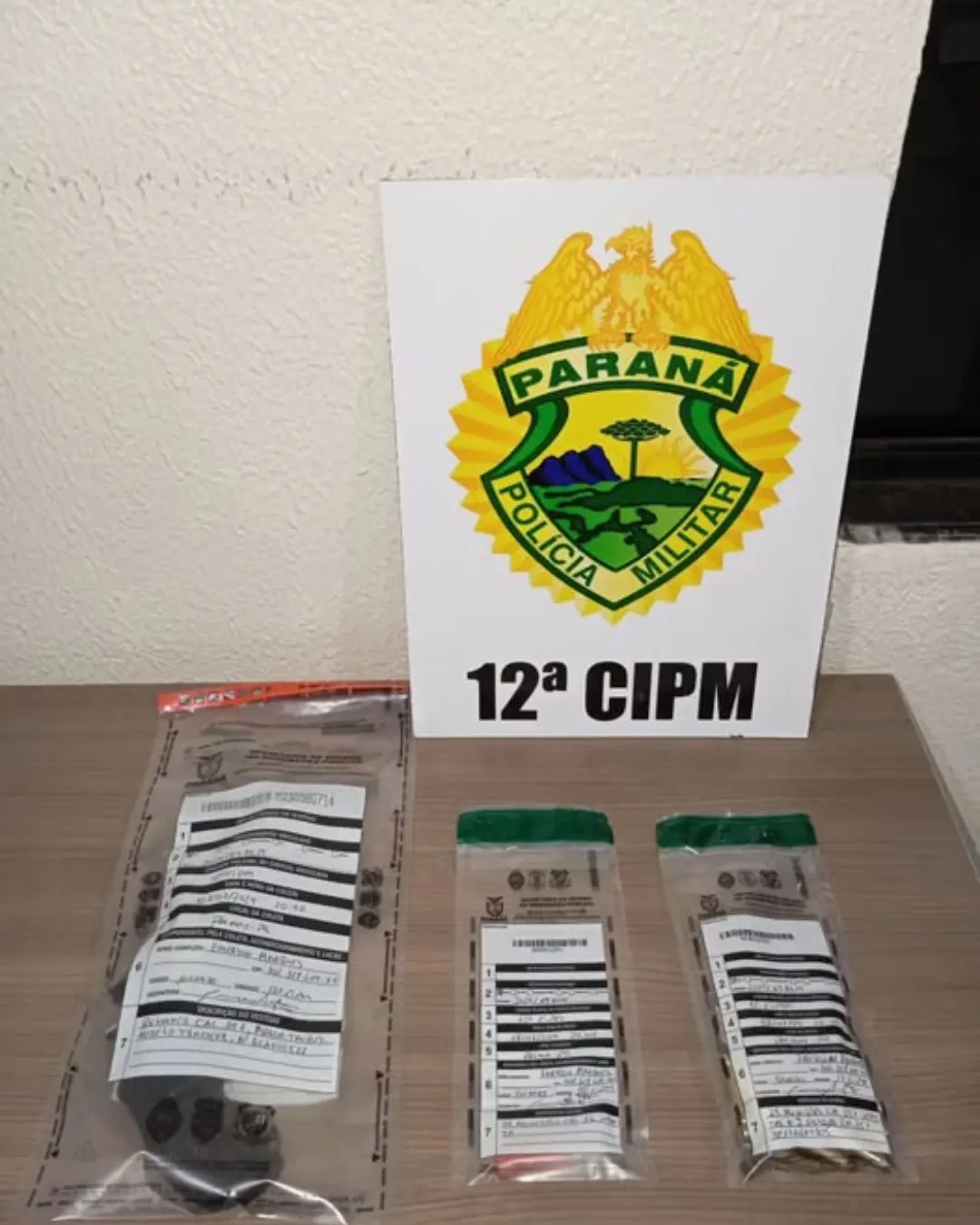 Posse irregular de arma de fogo e munições são apreendidas em Palmas