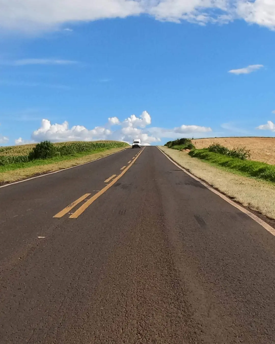 Restauração de rodovias entre Dois Vizinhos e Francisco Beltrão atrai nove propostas