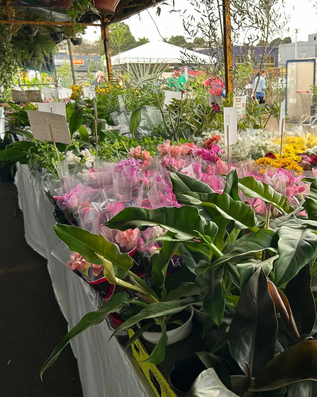 Troca de local da Expoflor apresentou um resultado positivo