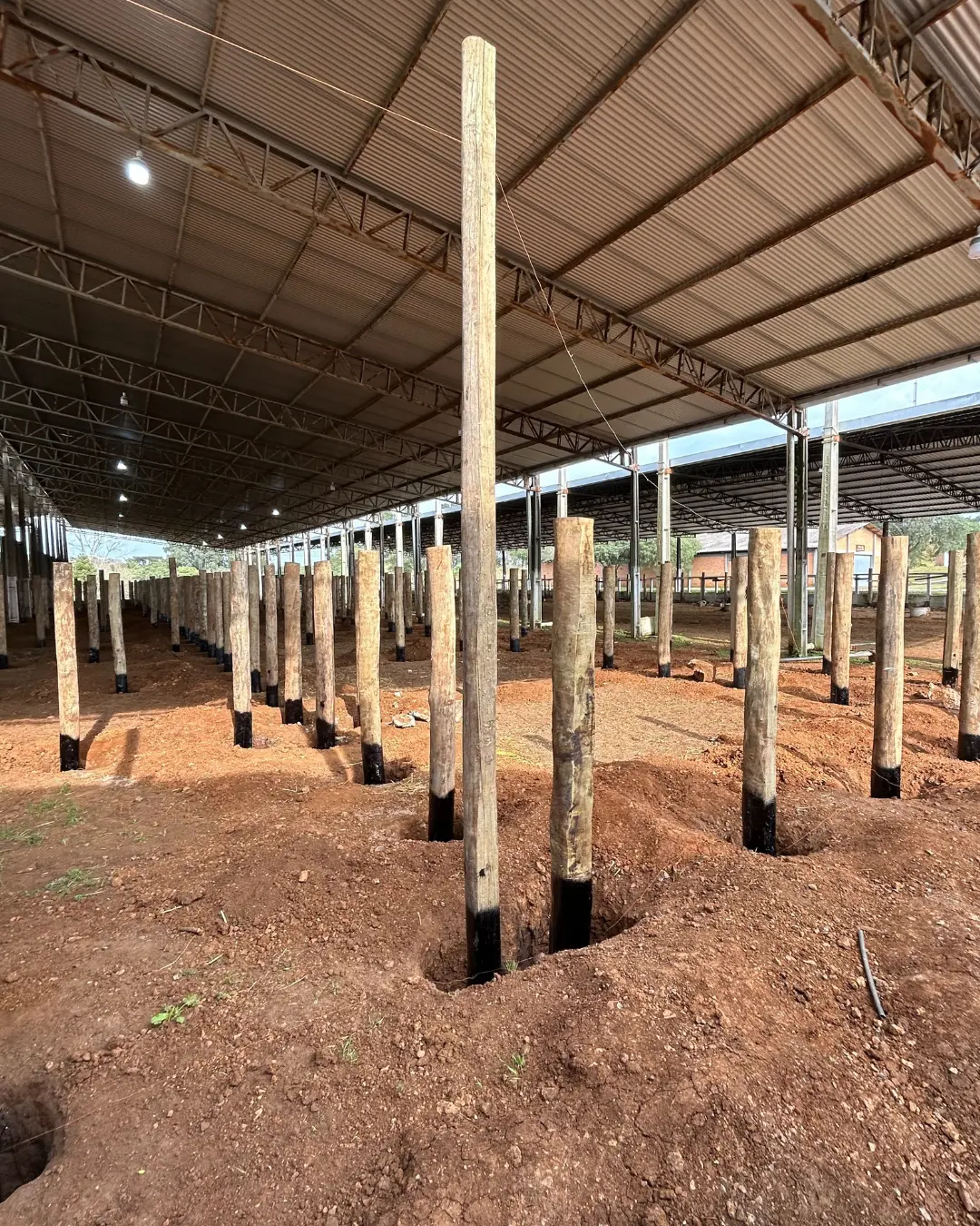 Vídeo: Prefeitura de Palmas investe R$ 1 milhão na construção de 60 mangueiras