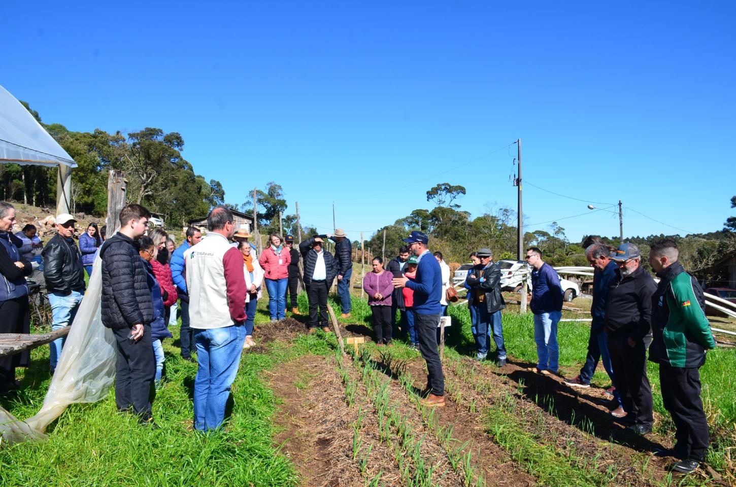 Dia de Campo da Cultura do Alho em Cel Domingos Soares!