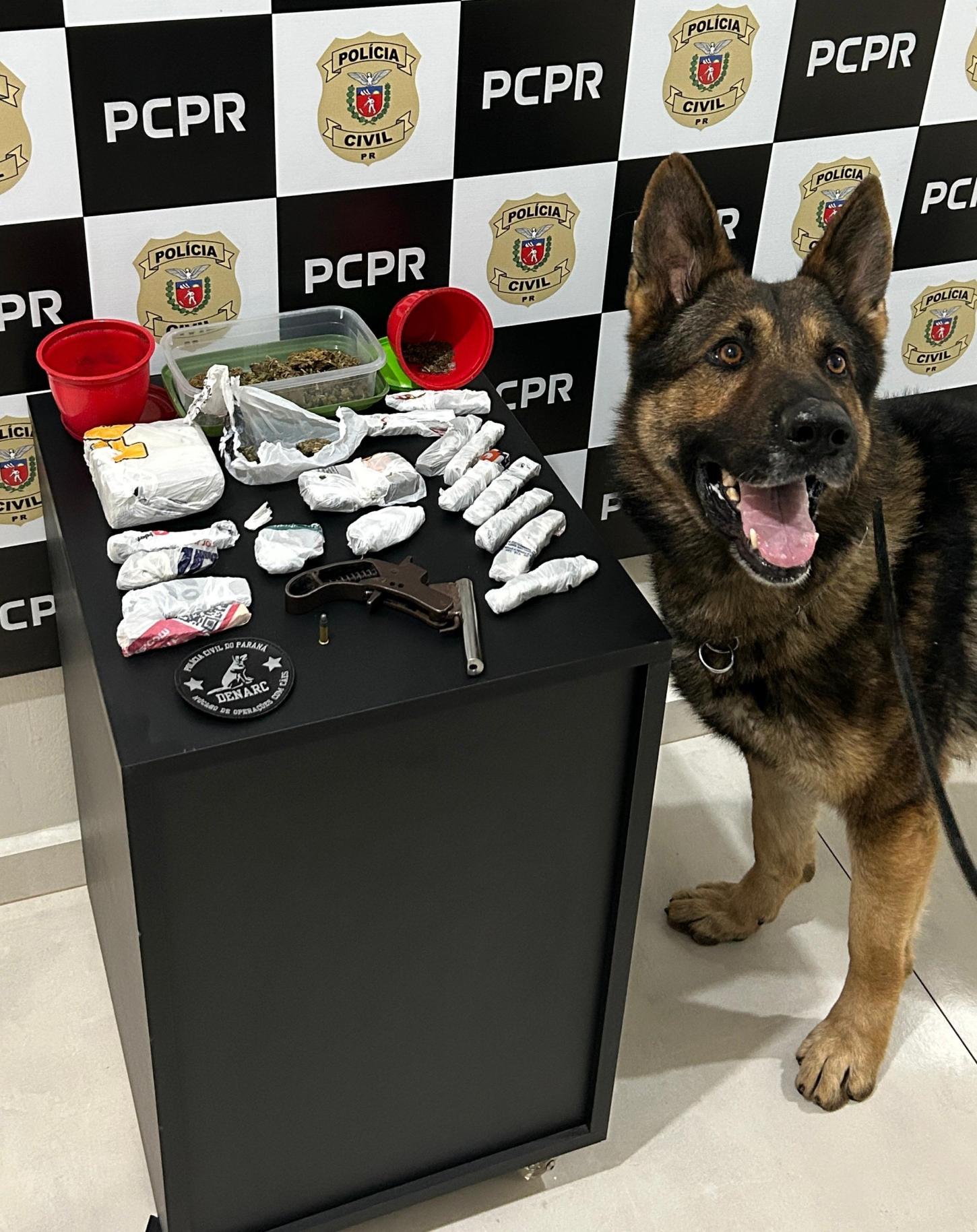 PCPR prende homem por tráfico de drogas e posse irregular de arma arma de fogo em Chopinzinho