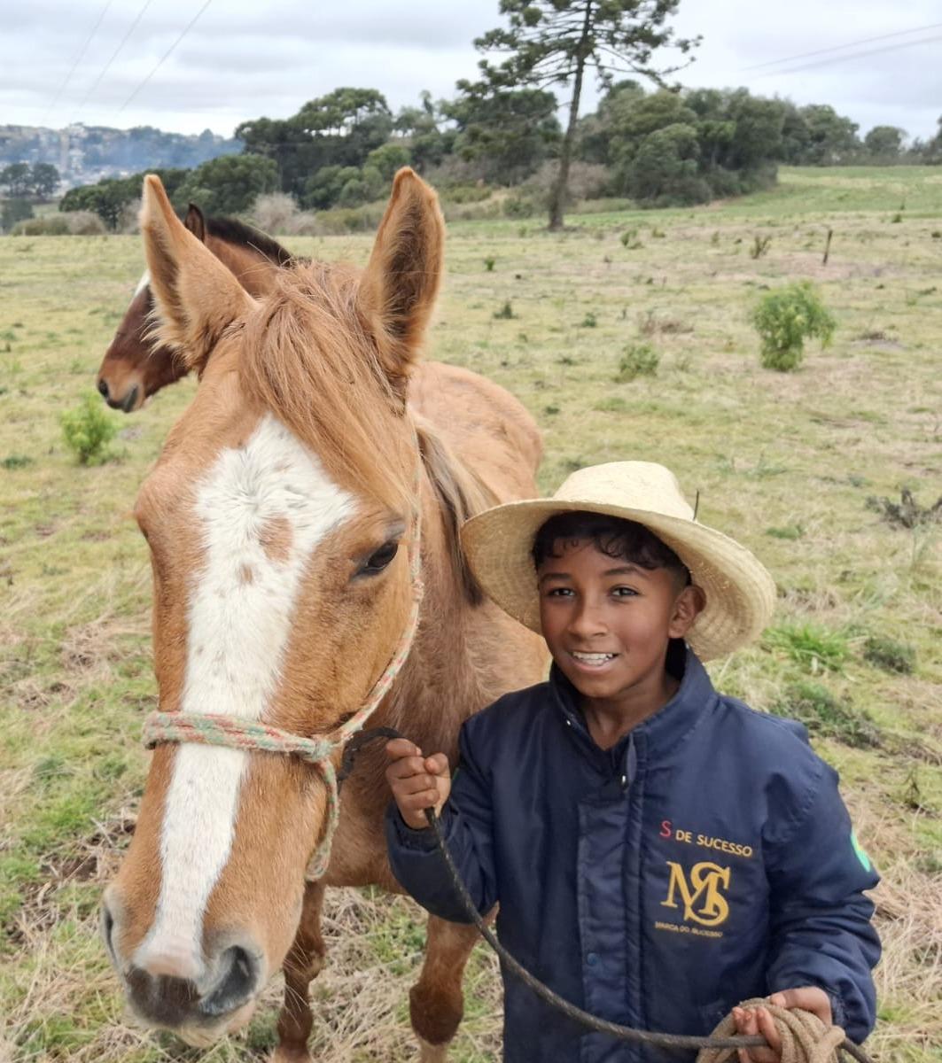 Policiais civis ajudam menino a encontrar seu cavalo que havia sumido em Palmas