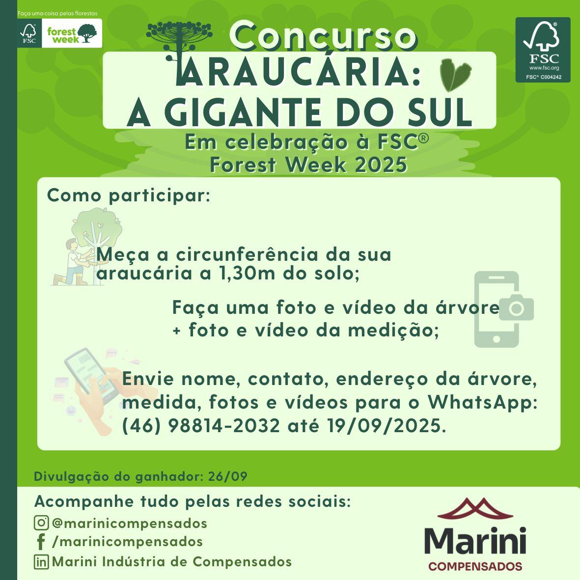Concurso organizado pela Marini Compensados busca a maior Araucária em Palmas PR e São Francisco de Paula RS