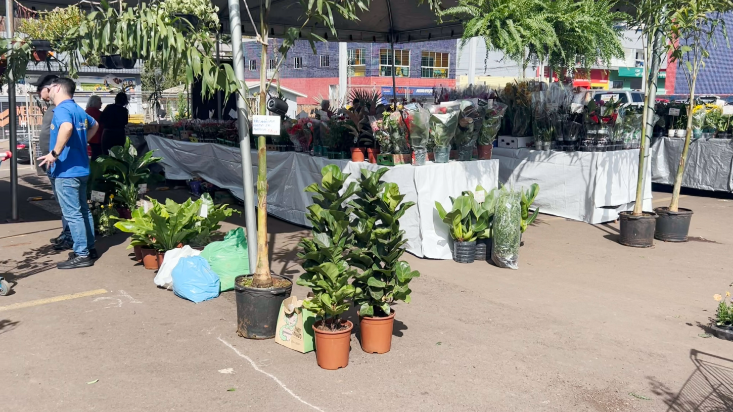 ExpoFlor superou as vendas da edição anterior – parte dos recursos são destinados ao Rotary Club