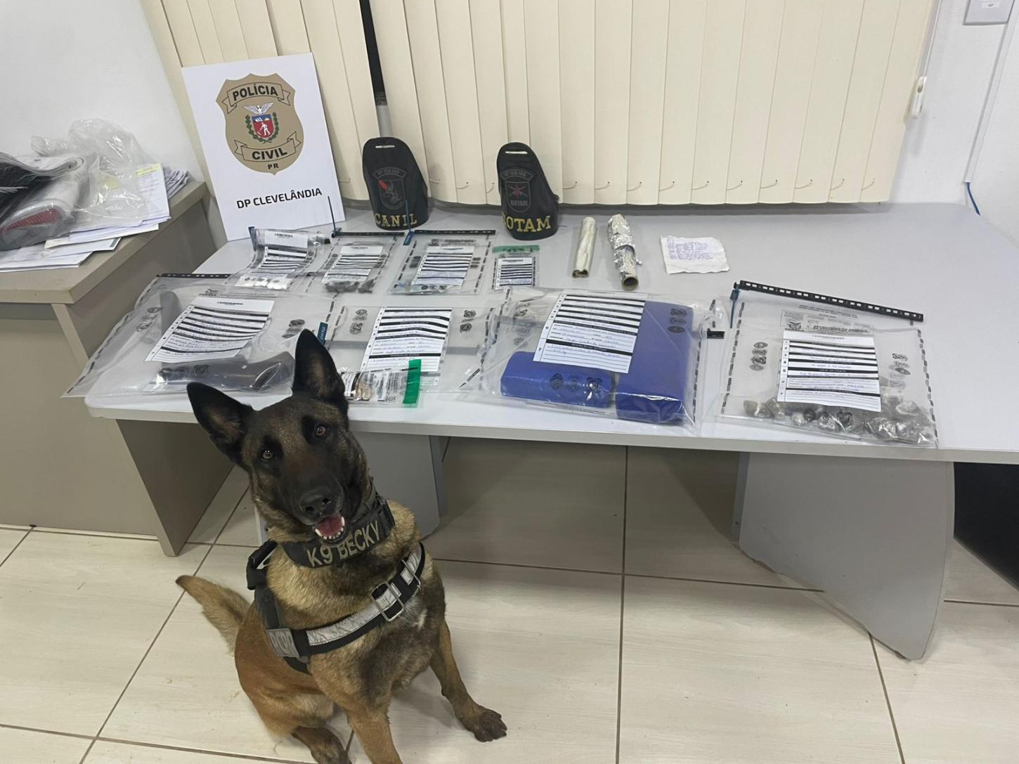 PCPR e PMPR deflagram operação e prendem pessoas por tráfico de drogas e furto em Clevelândia