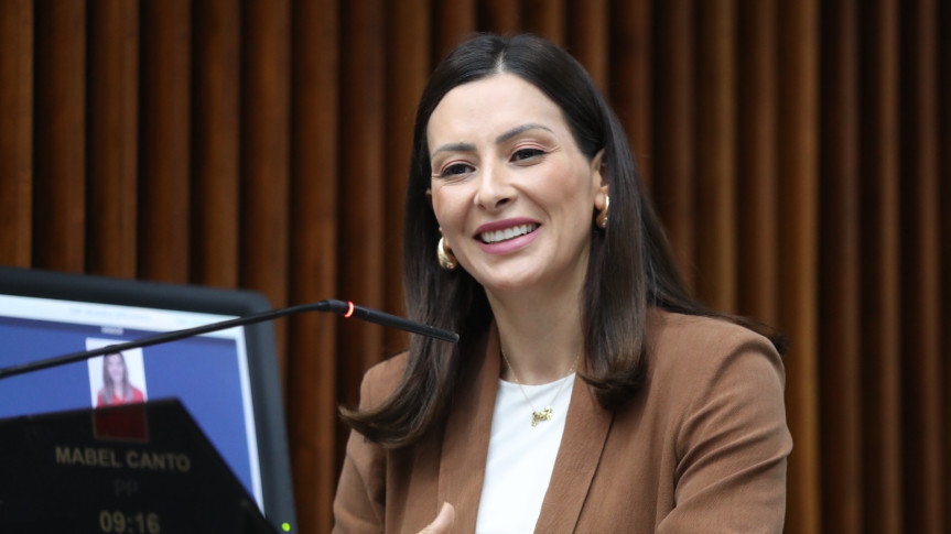 Deputada Mabel Canto (PP) destaca pioneirismo da Assembleia ao conquistar selo nacional de enfrentamento à violência contra mulheres