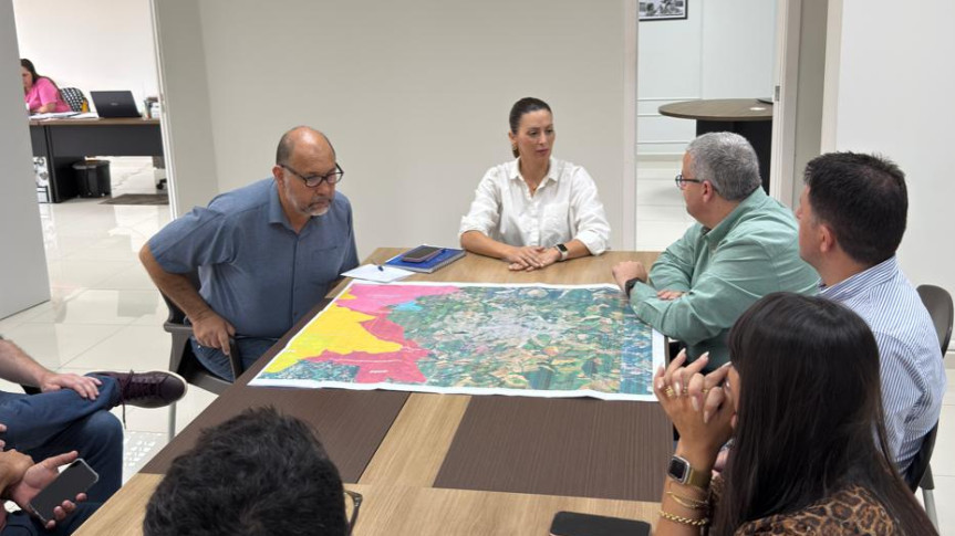 Deputada Mabel Canto (PP) se reúne com diretor-presidente de concessionária para discutir proposta de contorno rodoviário para Ponta Grossa