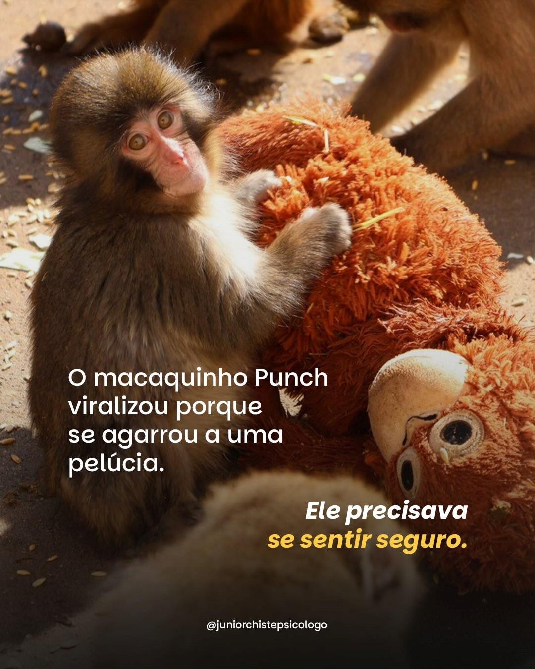 Foto: Punch