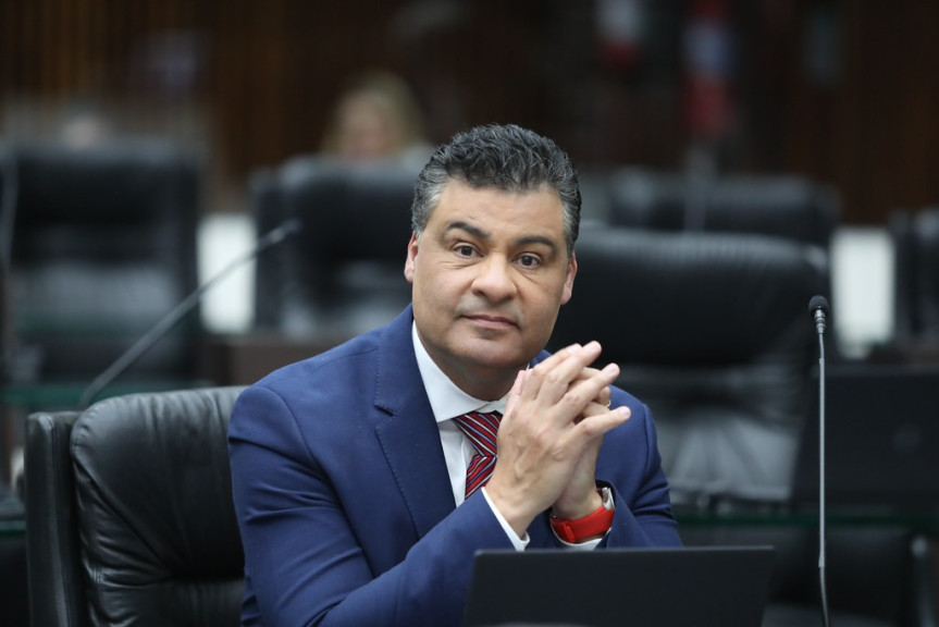 Projeto prevê a criação de um banco de dados de pessoas condenadas por maus-tratos a animais no Paraná