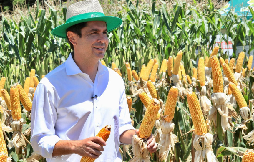 Show Rural é o espelho do Paraná que queremos: produtivo, moderno e competitivo, afirma deputado Alexandre Curi (PSD)