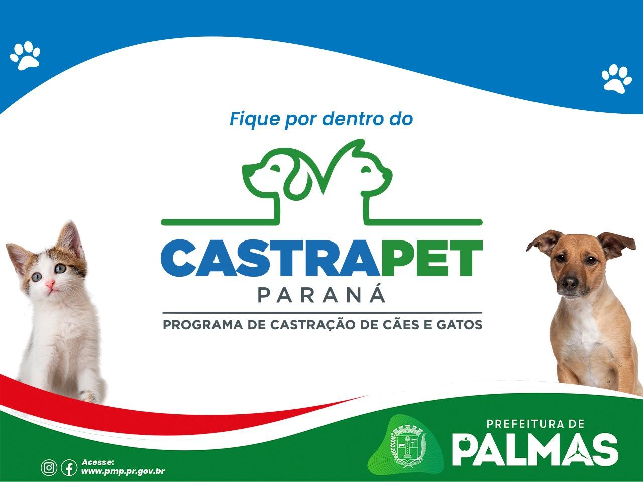 Prefeitura realiza atualização cadastral para castração animal pelo programa CastraPet Paraná