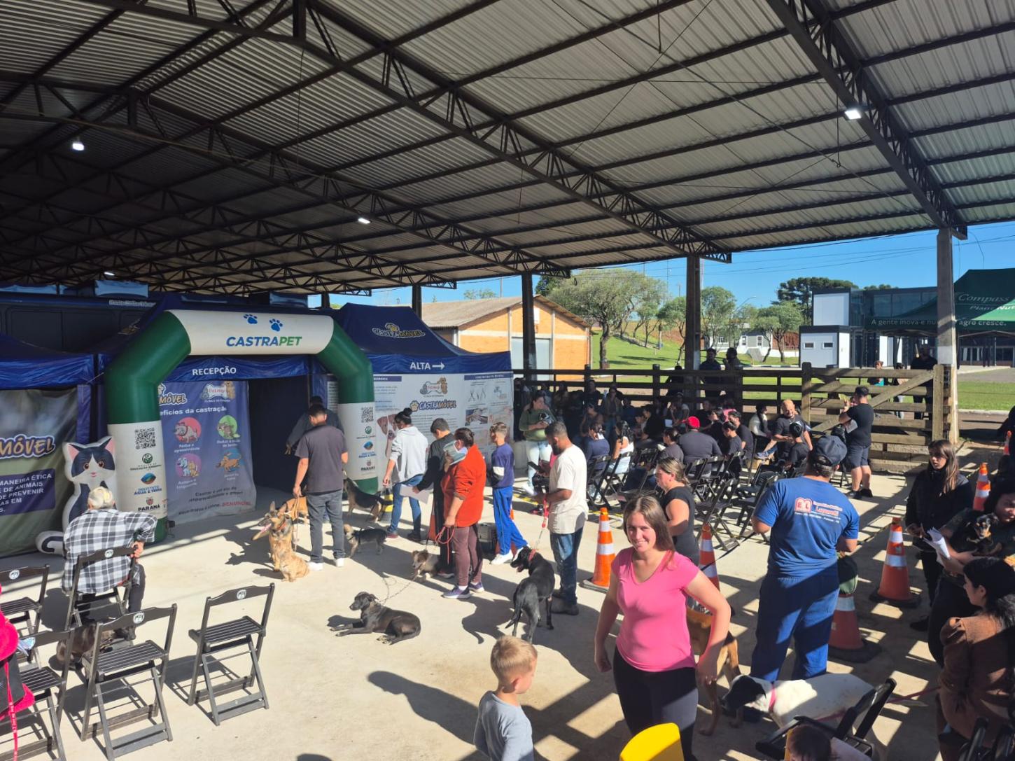 Fila para as castrações dos animais