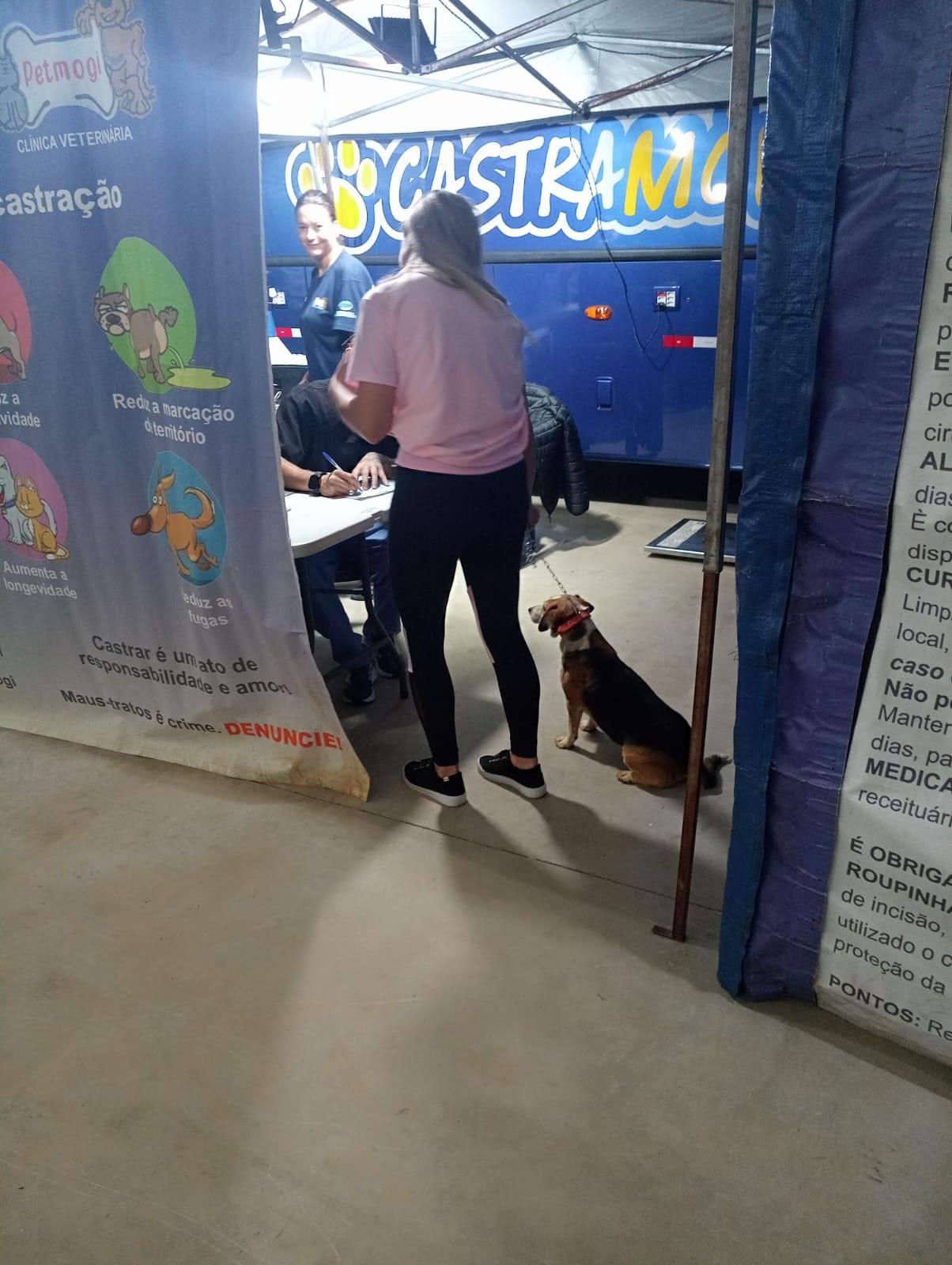 Foto: CDS - CastraPet