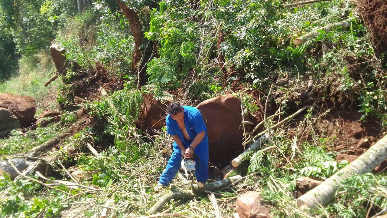 Departamento de agricultura realiza desobstrução da via no trecho do calçamento na Nova Iguaçu