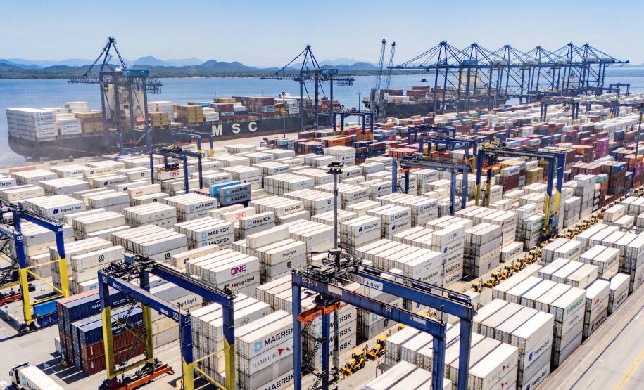 Paranaguá responde por 65% do crescimento das exportações brasileiras de frango congelado