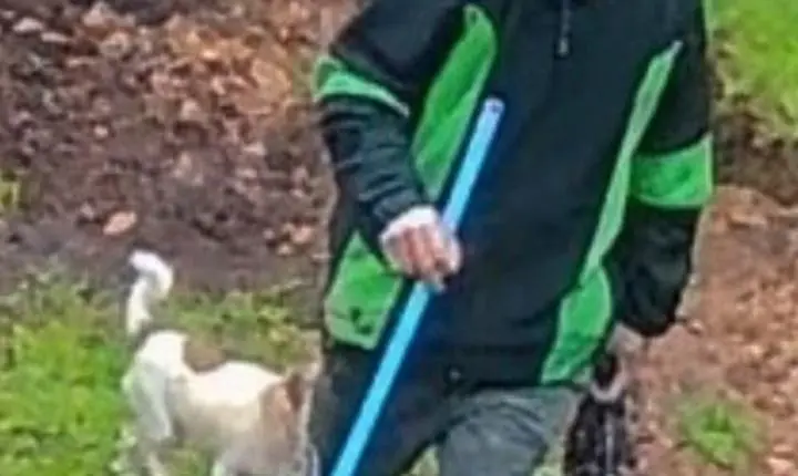 CACHORRO AJUDA PCPR A SOLUCIONAR FURTO NA APAE E COMPUTADORES SÃO RECUPERADOS EM CORONEL DOMINGOS SOARES