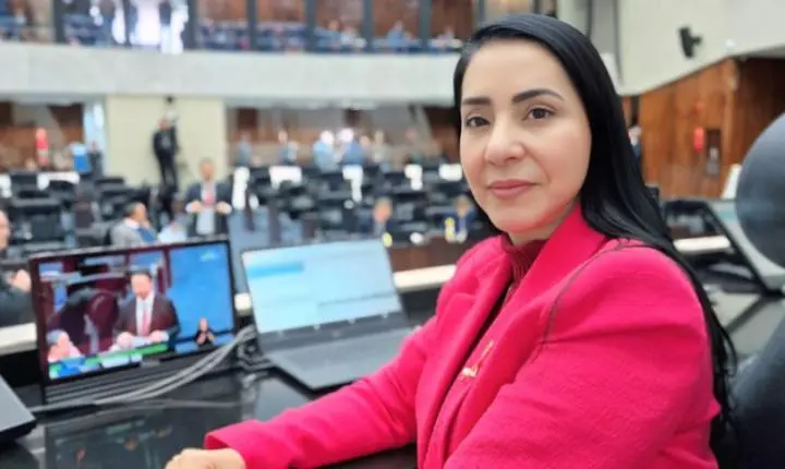 Comissão de Defesa dos Direitos da Mulher consolida avanços legislativos e audiências públicas em 2025