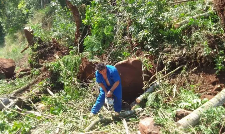 Departamento de agricultura realiza desobstrução da via no trecho do calçamento na Nova Iguaçu