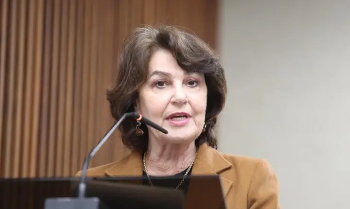 Deputada Cristina Silvestri (PP) propõe destinação de madeira de obras rodoviárias para reconstrução de áreas atingidas por desastres