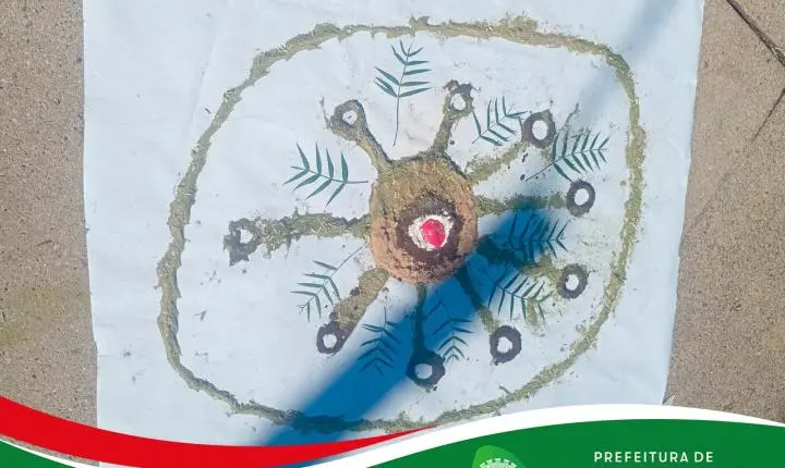 Escola Municipal Professora Terezinha Marins Pettres desenvolve atividades culturais, artísticas e educativas que fortalecem aprendizado e valorização da história de Palmas