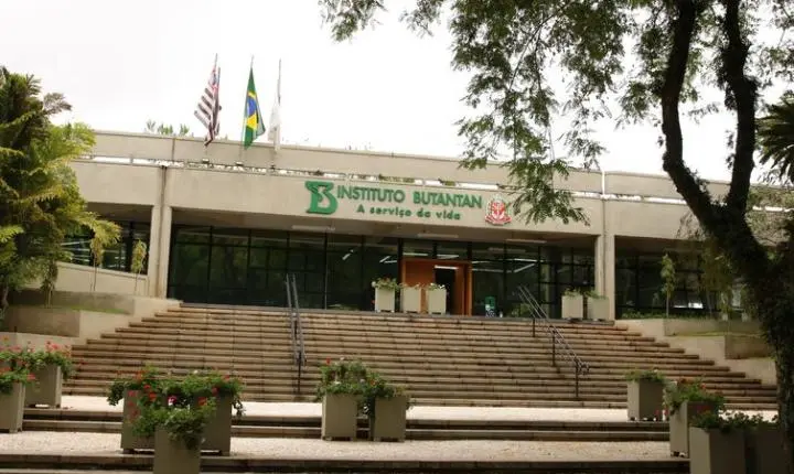 MS aprova parcerias para produção de medicamentos destinados ao SUS