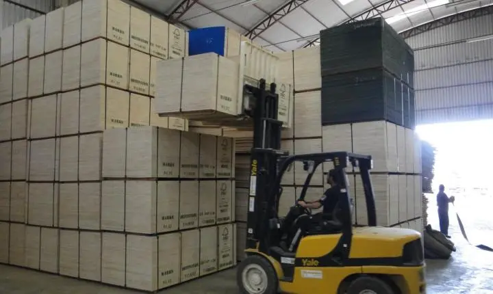 Novas tarifas dos Estados Unidos afetam a competitividade da indústria madeireira brasileira, alerta Abimci 
