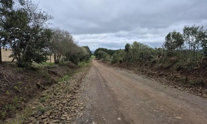 Obra do primeiro asfalto rural de Palmas está se tornando realidade