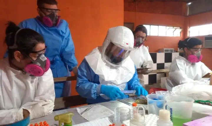 Paraná mantém vigilância rigorosa contra hantavirose
