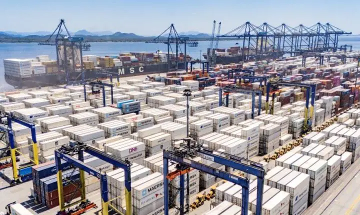 Paranaguá responde por 65% do crescimento das exportações brasileiras de frango congelado
