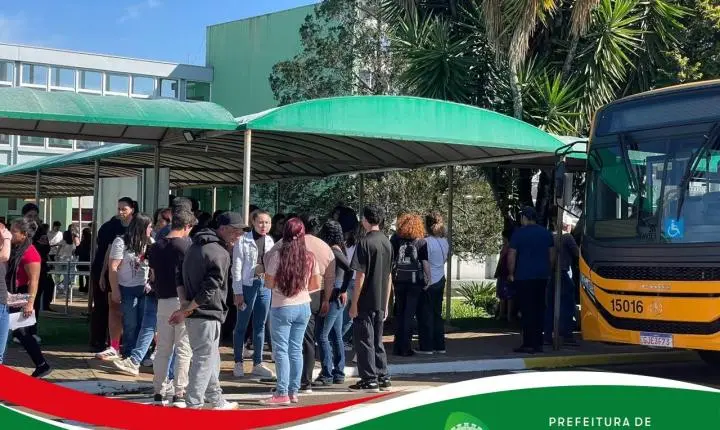 Prefeitura de Palmas divulga classificação final dos PSS Jovem Aprendiz e Vários Cargos