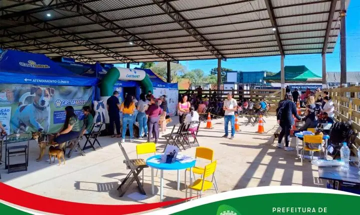 Programa Castrapet Paraná realiza 210 cirurgias de esterilização em Palmas